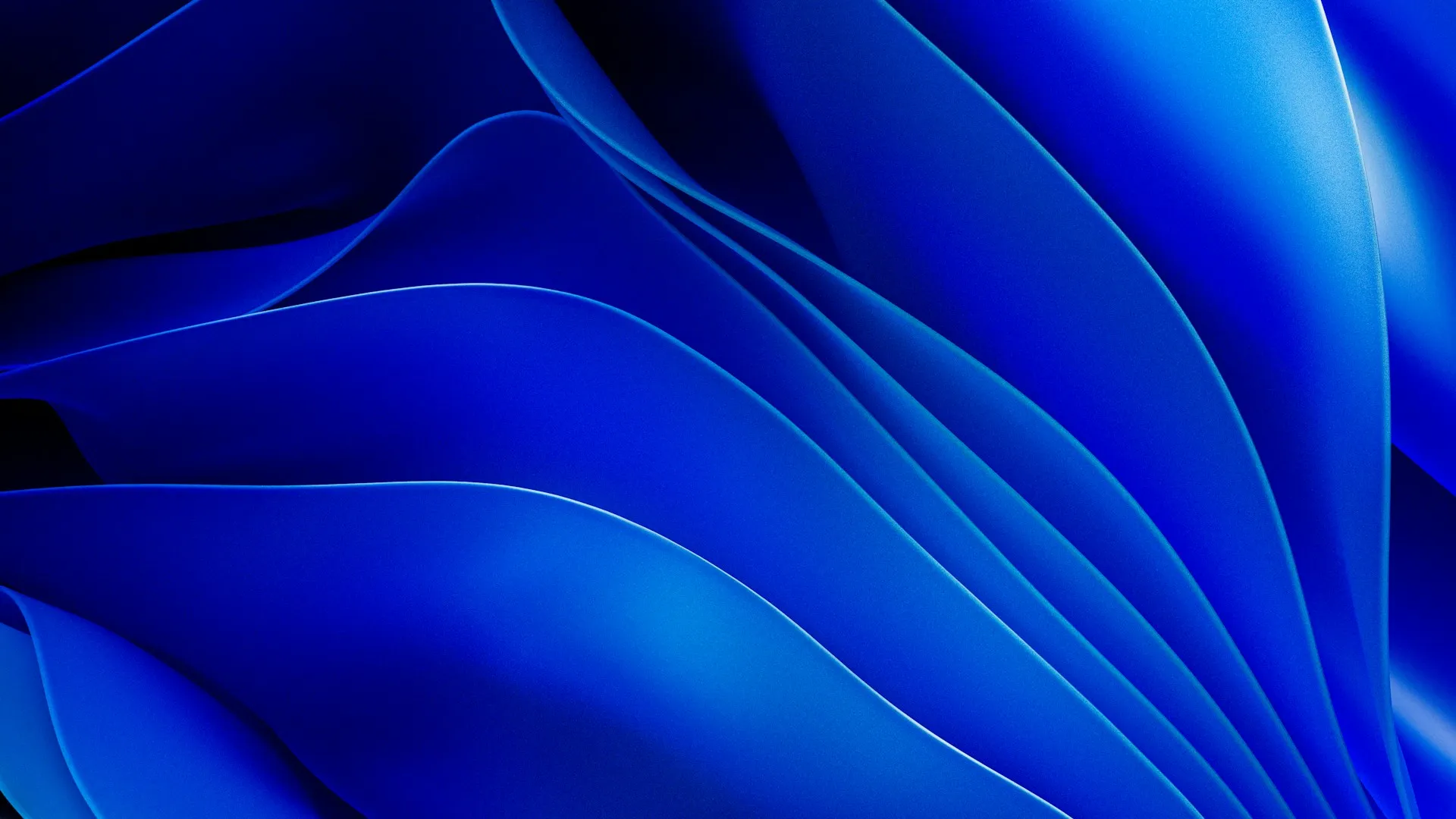 An abstract blue pattern made of petals arranged in waves.